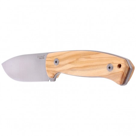 Nóż LionSteel Bushcraft Olive Wood, Satin Blade M390 (M2M UL)