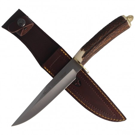 Nóż Muela Deer Stag, Satin X50CrMoV15 (TEJON-16)