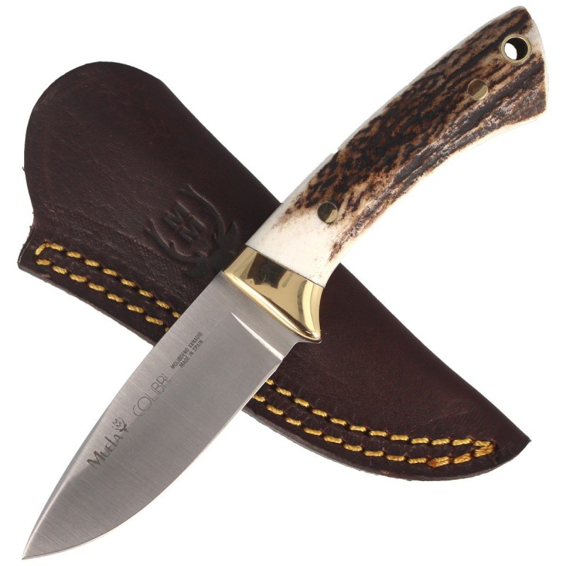 Nóż Muela Colibri COL-7A Deer Stag, Satin X50CrMoV15