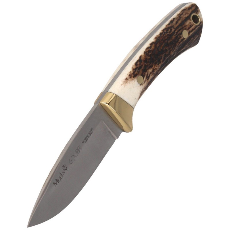 Nóż Muela Colibri COL-7A Deer Stag, Satin X50CrMoV15