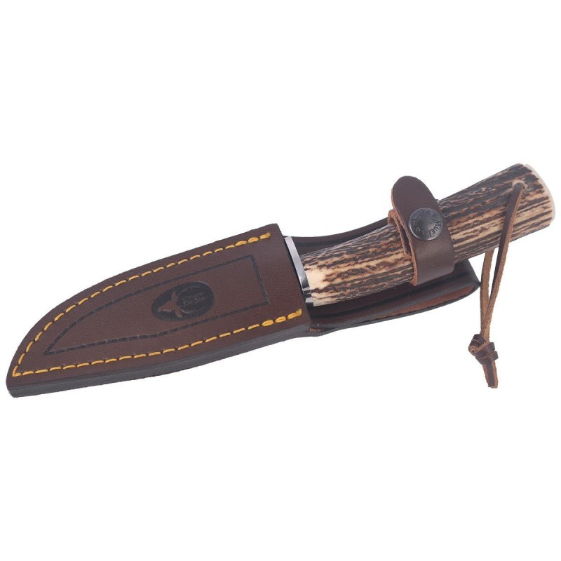 Nóż Muela Braco-11A Deer Stag, Satin X50CrMoV15
