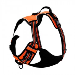 Szelki dla psa 4wild Guard bezuciskowe pomarańczowe