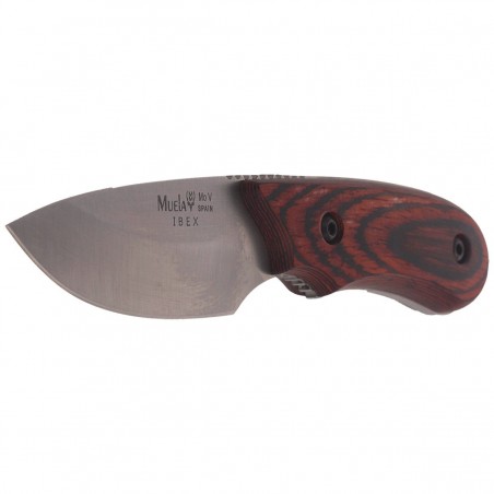 Nóż Muela Full Tang Pakkawood, Satin X50CrMoV15 (IBEX-8R) Nóż Muela Full Tang Pakkawood, Satin X50CrMoV15 (IBEX-8R)