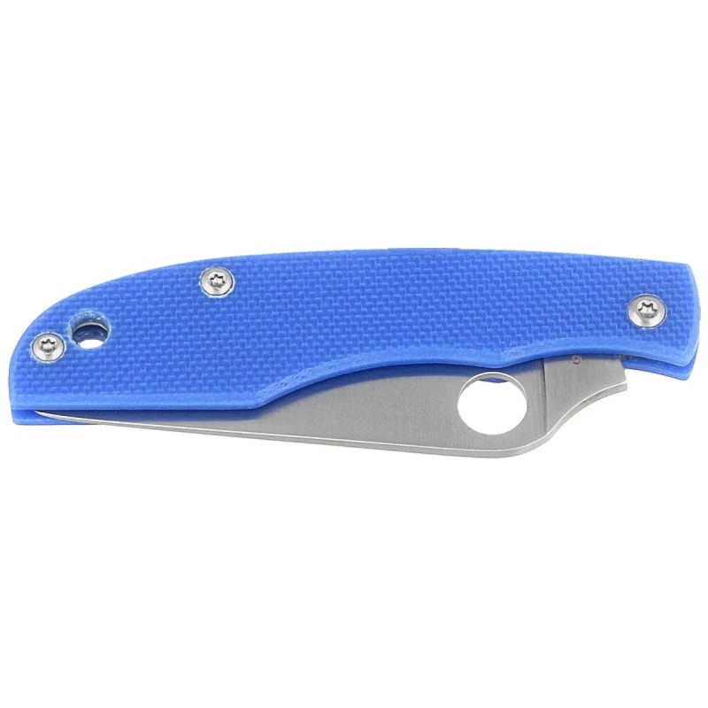 Nóż składany Spyderco Grasshopper Blue G10, Satin 12C27 (C138GBLP)