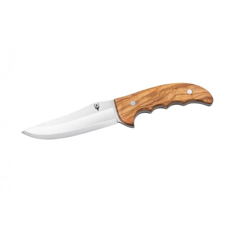 Nóż Muela Outdoor-12.OL Olive Wood, Satin X50CrMoV15