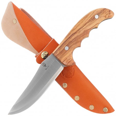 Nóż Muela Outdoor-12.OL Olive Wood, Satin X50CrMoV15