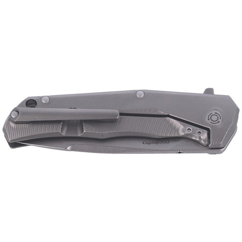 Nóż składany LionSteel T.R.E. Grey Titanium / Grey Ti, Stone Washed M390 by Molletta (TRE GY)