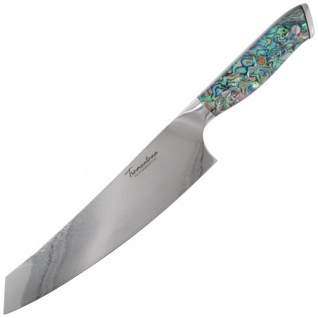 Nóż Kuchenny Tramuntana Decor Habitat CD14 Abalone/Epoxy, VG10 Damascus (TK-CD14)
