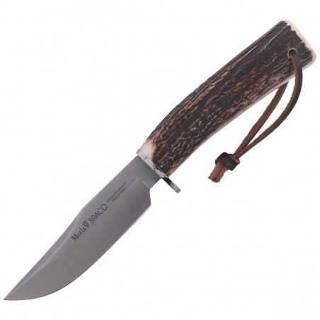 Nóż Muela Braco-11A Deer Stag, Satin X50CrMoV15