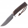 Nóż Muela Braco-11A Deer Stag, Satin X50CrMoV15