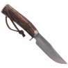 Nóż Muela Braco-11A Deer Stag, Satin X50CrMoV15
