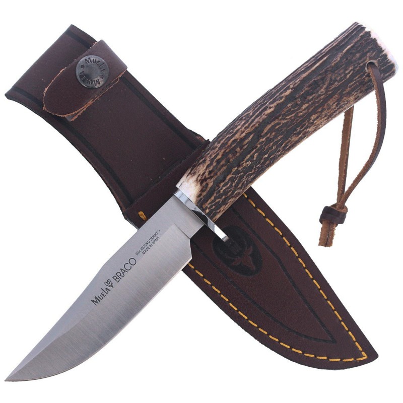 Nóż Muela Braco-11A Deer Stag, Satin X50CrMoV15