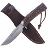 Nóż Muela Braco-11A Deer Stag, Satin X50CrMoV15