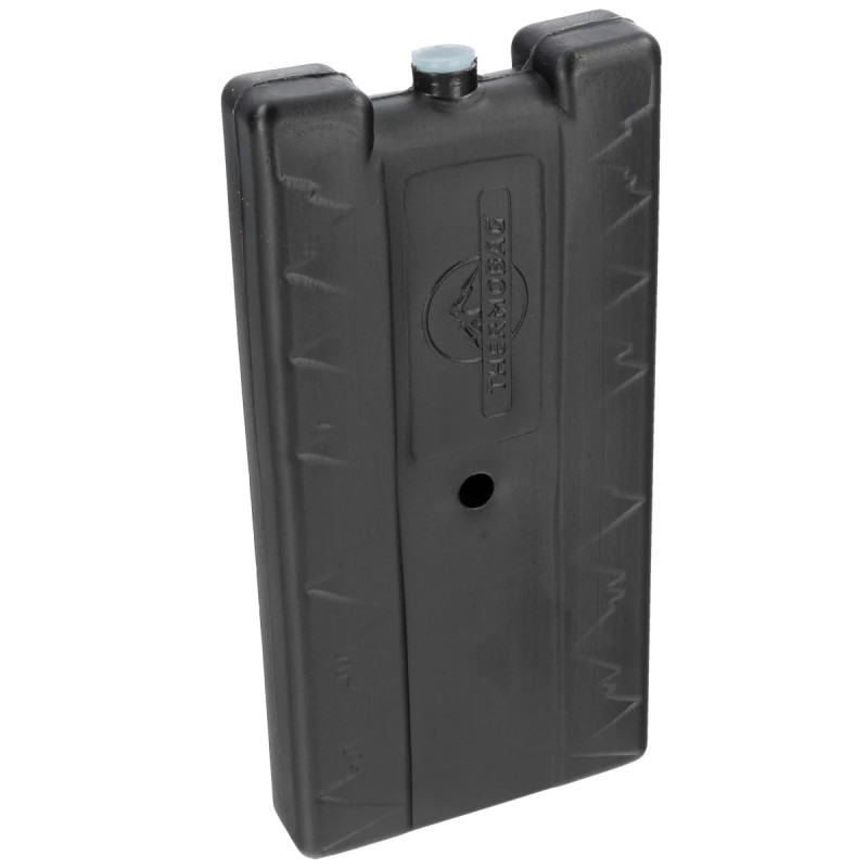 Pojemnik termiczny Thermobag Multifunctional Small Bag Black