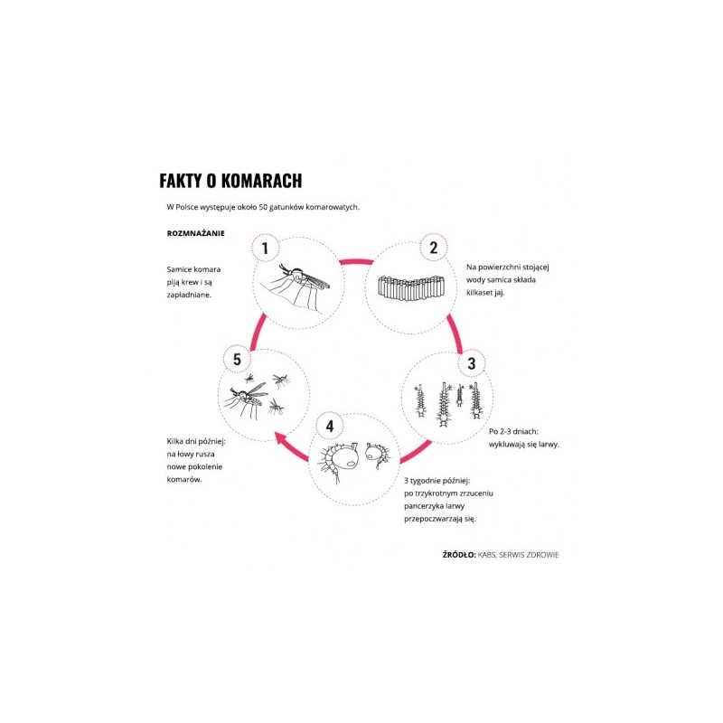   Mleczko repelent Mugga 20,5% DEET 50 ml - 4 - Środki na komary i kleszcze