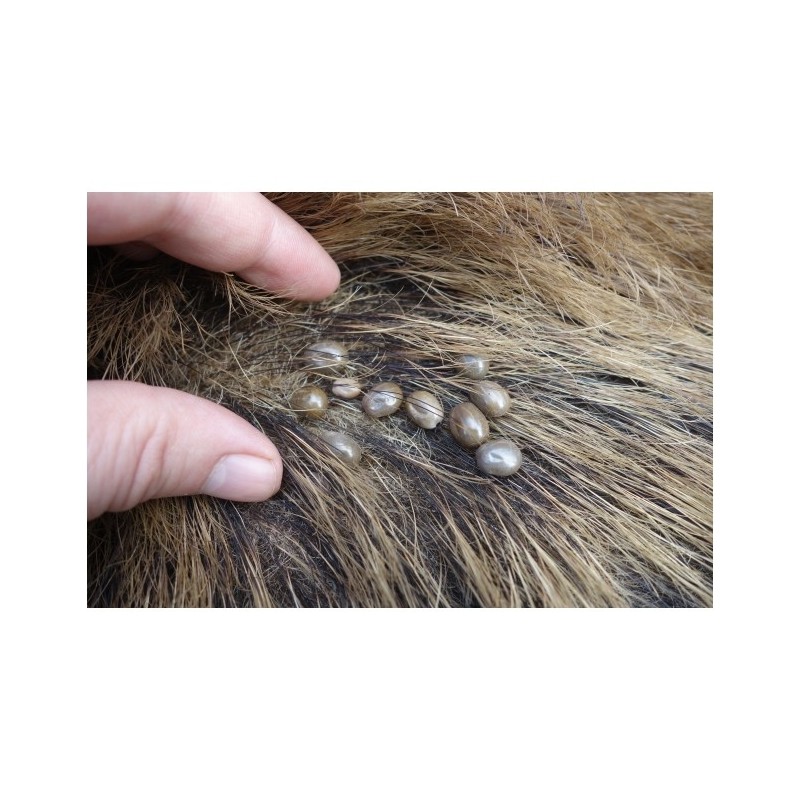   Mleczko repelent Mugga 20,5% DEET 50 ml - 8 - Środki na komary i kleszcze