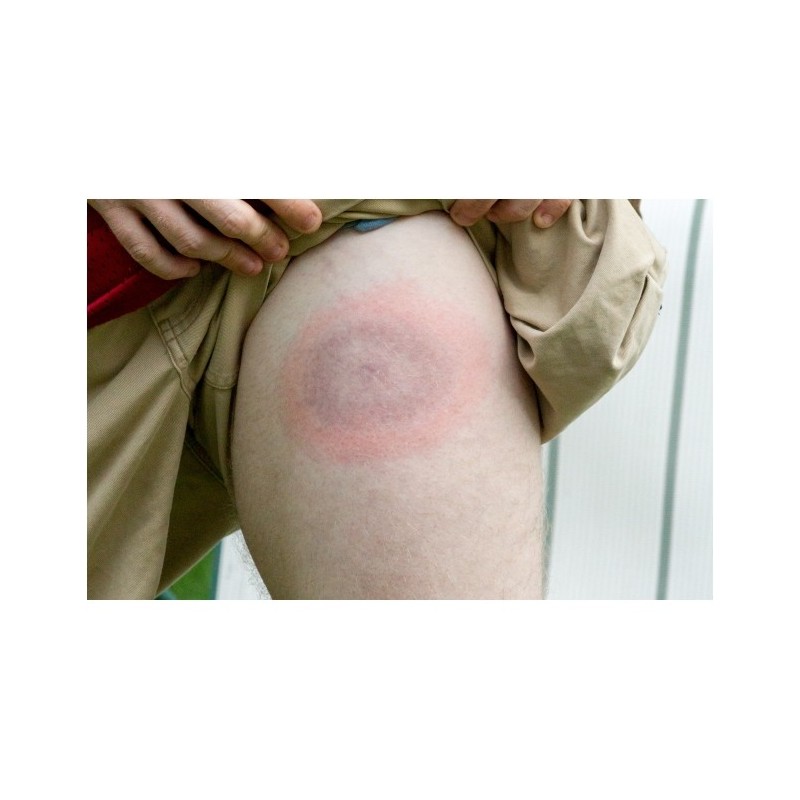   Mleczko repelent Mugga 20,5% DEET 50 ml - 9 - Środki na komary i kleszcze